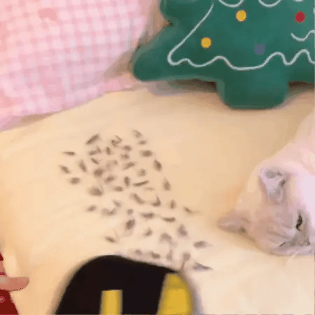 Rękawica do usuwania sierści 2w1 – Szczotka do wyczesywania psów i kotów | Uniwersalna & Wielofunkcyjna